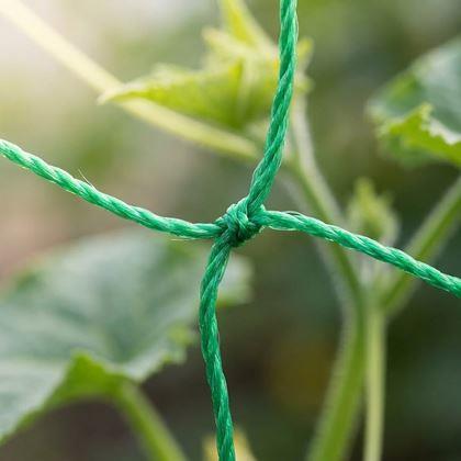 Imaginea din Plasă de susținere pentru cultivarea legumelor și florilor