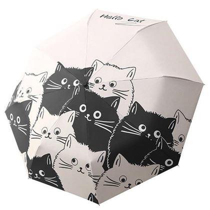 Imaginea din Umbrelă cu pisici