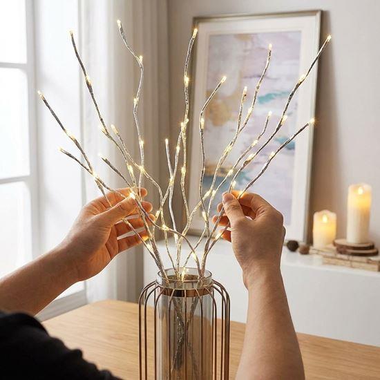 Imaginea din Ramuri decorative luminoase