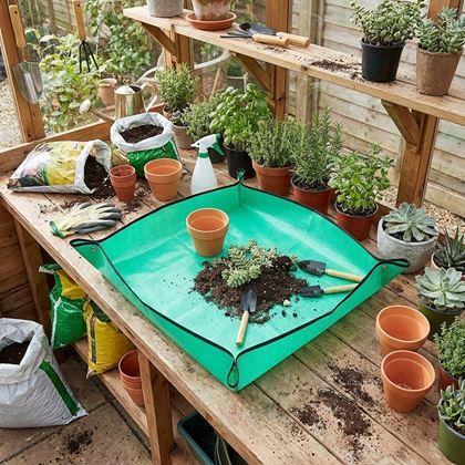 Imaginea din Covoraș pentru transplantarea plantelor