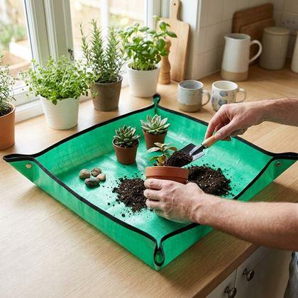 Imaginea din Covoraș pentru transplantarea plantelor
