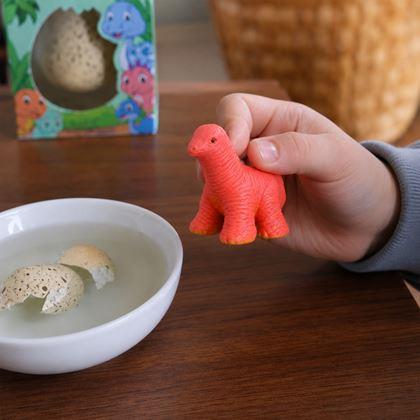 Imaginea din Ou magic care crește - dinozaur
