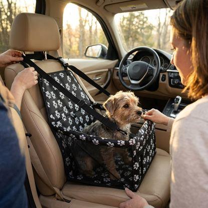 Imaginea Scaun auto pentru animale de companie
